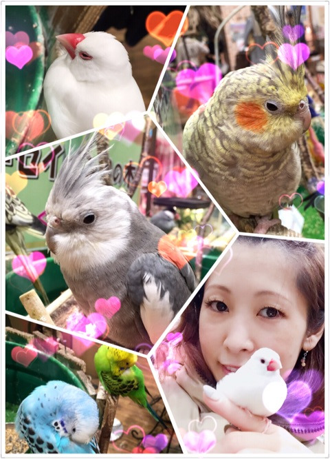 {6C3661EF-5FDA-48E5-AFF8-7D7A149FF078}