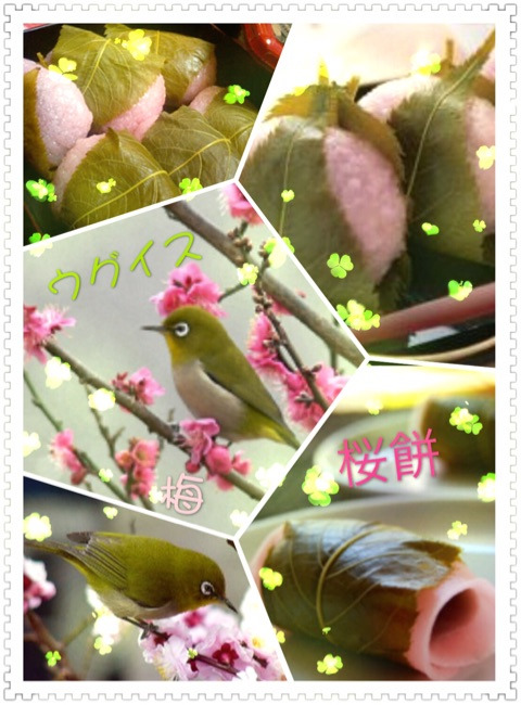 {DBEDF46A-5DF0-409B-8B17-B4096561DA34}