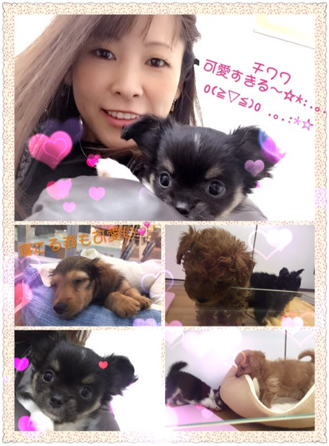 {868C2E4C-FADC-4451-A02B-450A118F4935}