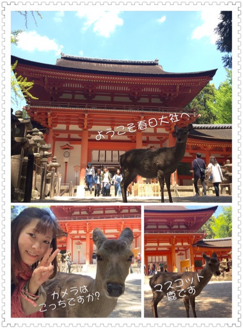 {F0C05D36-F0A9-4157-869F-CCBAC649F8E7}