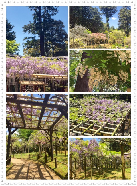 {83408059-2913-4C62-A839-C80065C96E62}