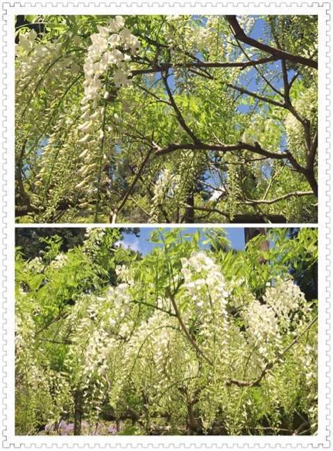 {20C8CE95-5443-437B-A546-5D0BF99A8131}