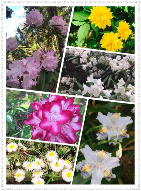 {49EF6C43-8DA5-474A-8F10-EB8E77C94377}