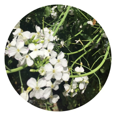 {43096E92-7AB5-4DAC-995F-65B9690D067E}