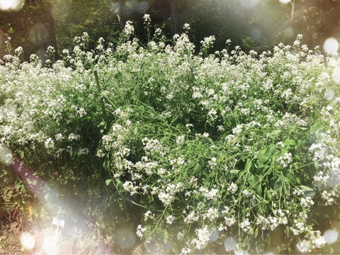 {46DA050B-0336-4583-97E0-E8C34C6C3AAF}