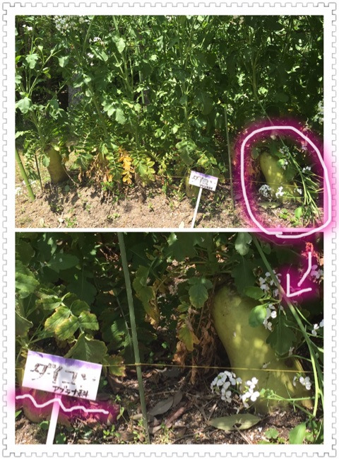 {8BFF0A61-659A-429C-911C-C15C6F6A6B4D}