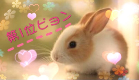 {55B4A78E-FBA4-469B-881E-512F80C48E91}