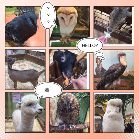 {52093E9F-D28A-4125-AED3-B02A8D8BDF04}