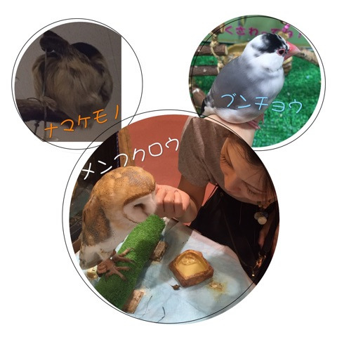 {C1FB4F3E-F983-431C-9632-E35F71DCCB83}