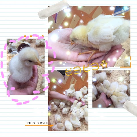 {21F087FA-EF40-49C6-B62C-0048FB86C021}