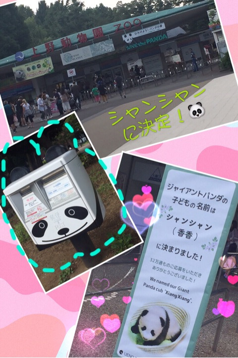 {74BB6504-D716-4988-8560-1BDD78B12F8C}