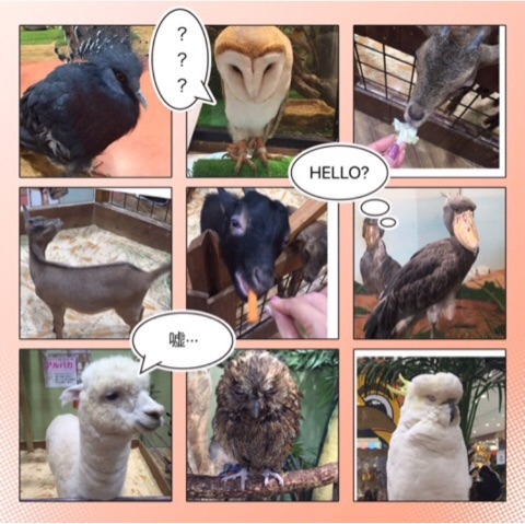 {C6349922-65AB-4B01-AF00-669501685DF1}