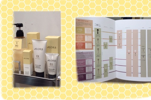 {B16F6062-557E-40B2-BC6F-9A8512438FBB}