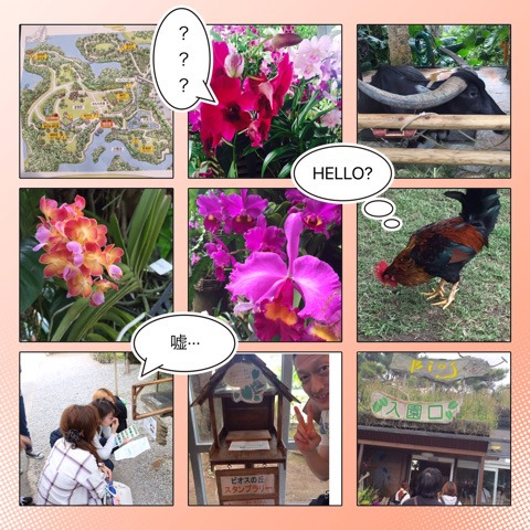 {2AB85D43-22FE-4B79-AA4D-23D24B767F2D}