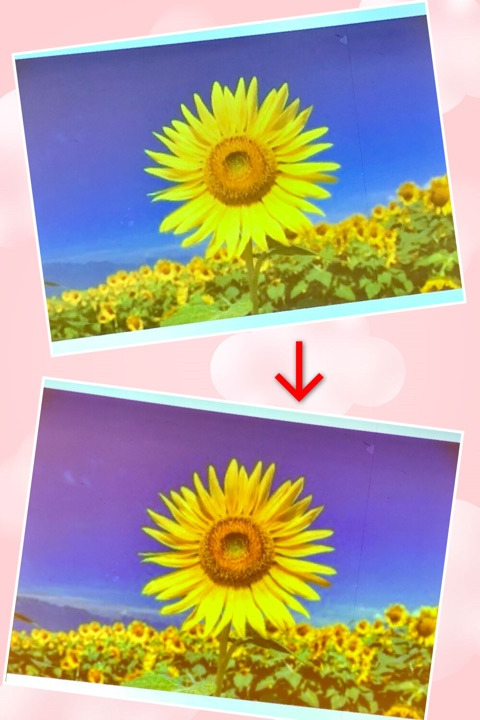 {F65A8095-633B-4197-BC28-C5EFDD2F7CD8}