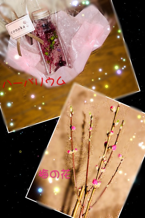 {4424ECAE-4455-4A16-8279-66E8EBEC5BEC}