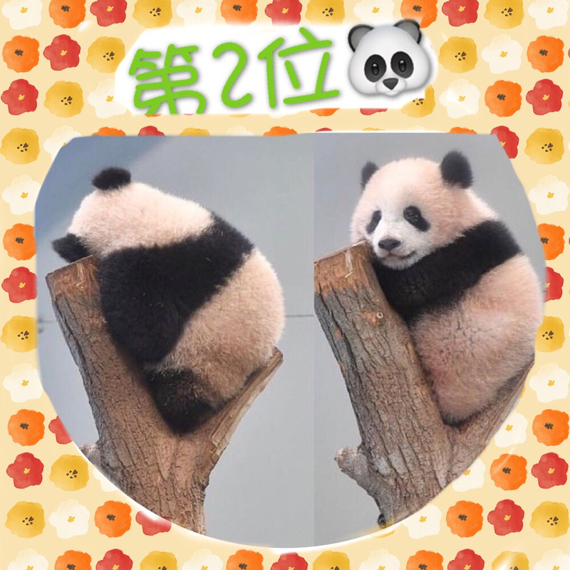 {0E6E50A6-704C-42A8-B64E-D6249C3A4767}