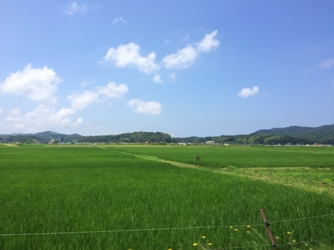 {7CD971A7-00D1-4916-835B-3038AB26F69C}