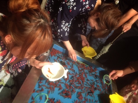 {62FD5570-F3ED-425F-82A1-7DDC900C6478}