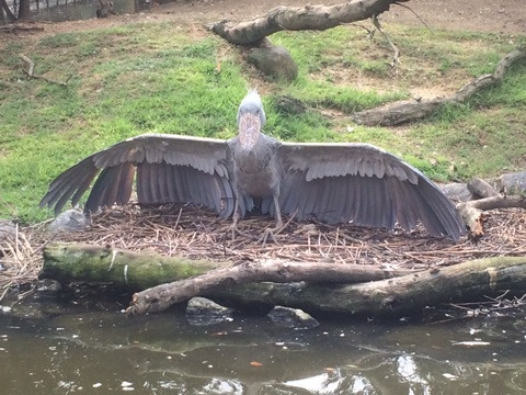 {CFC23BCA-487D-423A-AF2A-90AAED5CA0A3}