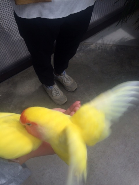 {9A164CBC-2CD0-4986-B327-FCB8023AB5C9}