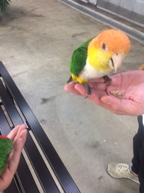 {326F2997-A145-4C9A-8ADB-4D1049BE68FC}