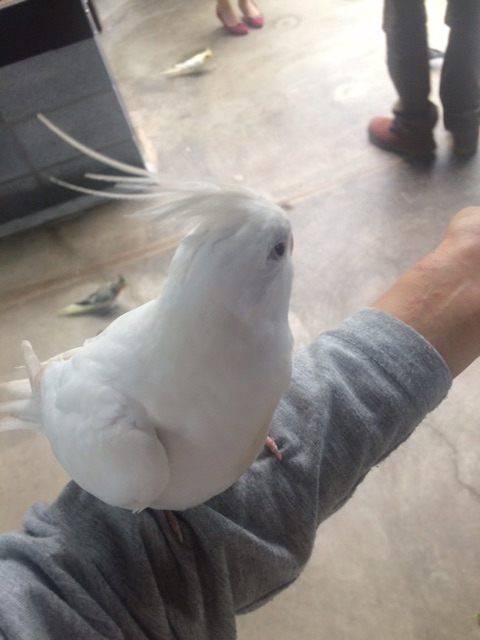 {C969D99C-78B9-4819-91CB-B1A2353BDBE8}