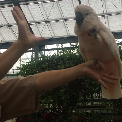 {72C3D4EB-8BF5-45FB-BFF0-2E8A131F5969}