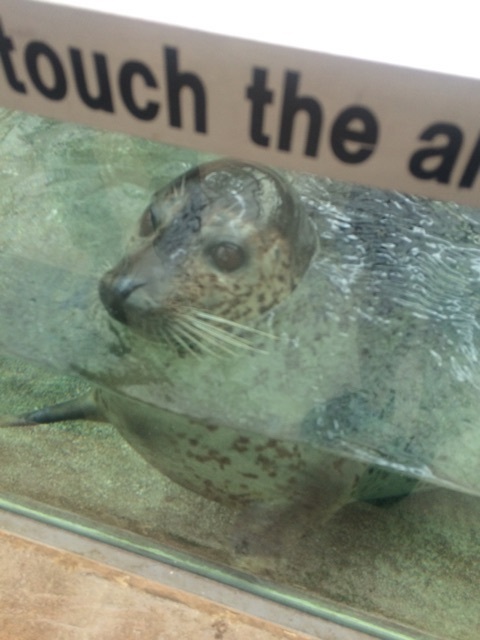 {610C09FB-8EA8-4236-9F72-FB7AF01C1750}