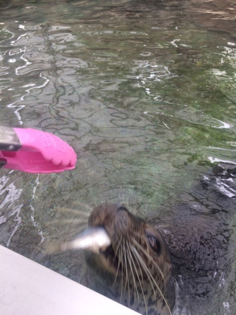 {7ACCED34-CEDE-48BE-9600-40D2844645F2}