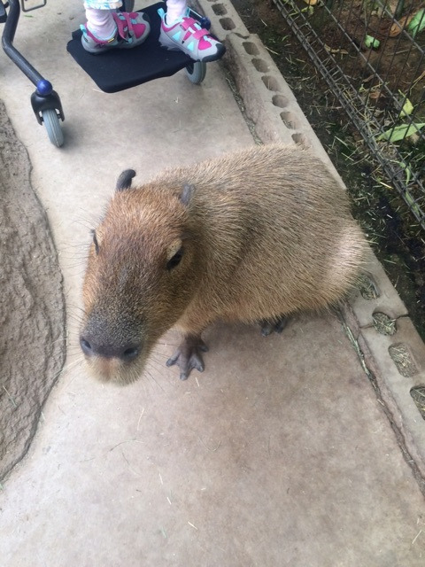 {2B92B5E6-BC0A-43EB-B895-AF703304302F}