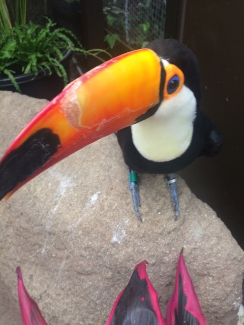 {E30D3E08-2F93-43D6-90AF-5A1C10E68BC8}