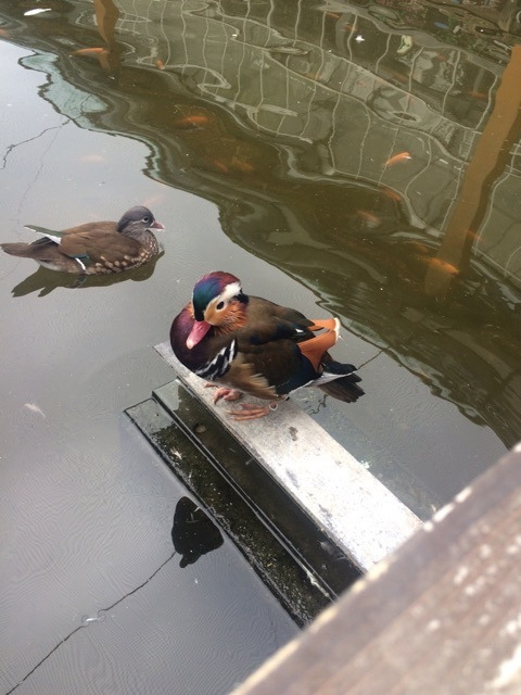 {96B55582-F09D-4E6D-9145-5A45830BFBF1}