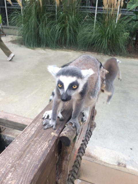 {3538DF59-D129-4931-BFC1-8E7B0507AE67}