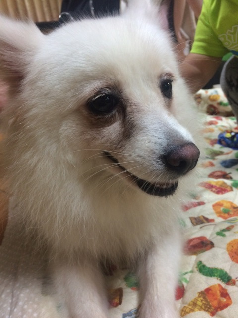 {3D48E785-8857-42C6-8210-6A06A2A26541}