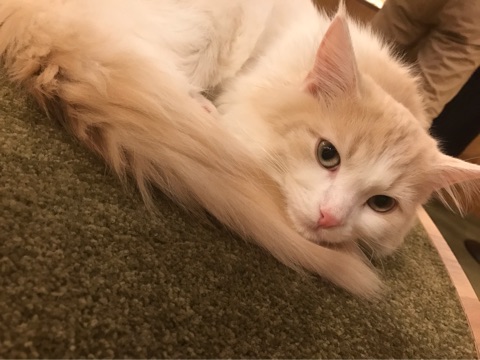 {0FB04245-D2B8-458B-8806-700E938548FD}