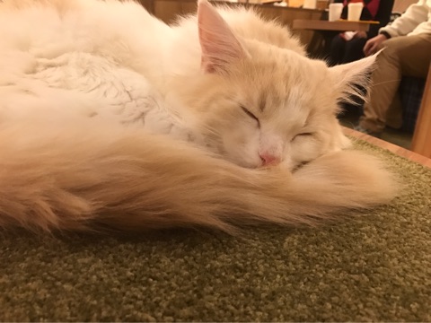 {CD980AEA-66CD-43C8-9990-D3A9AD2111D4}