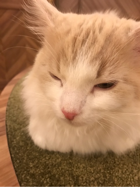 {AE60D34B-D3DF-4986-BC2A-53754574C2D1}