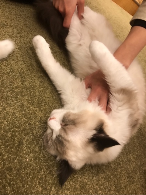 {EEF81214-708D-4DA5-B379-16425A25FD4E}