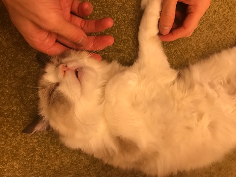 {22BD0D39-7F41-45A0-989C-659414F9511B}