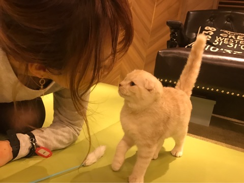 {92BD491C-5B89-4FCB-982C-C75259C9023F}