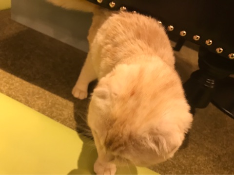 {81FB30C1-36E0-4A5A-8FFD-2CDDB1CC12FE}