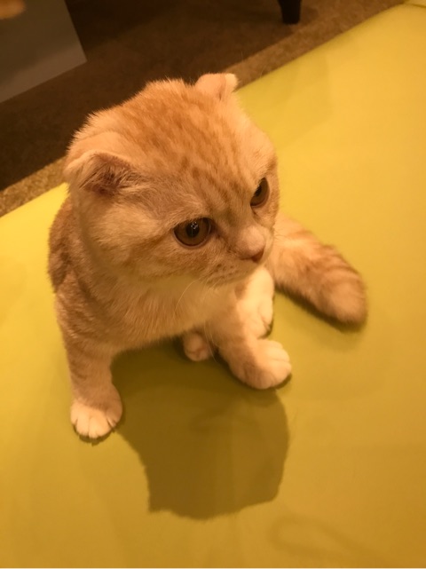 {62A62FFC-000D-4029-8948-ECCFBD7EF929}