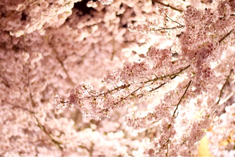 {7C9D2E2B-FE9E-432C-AB7C-F0C4CB043F54}