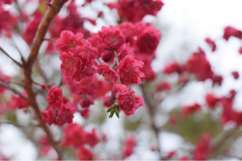 {E5F5E0D2-3821-4B9D-BB96-DE07C8752D3C}