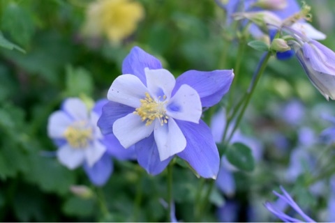 {3B961100-0283-4C95-9E59-6871BB460075}