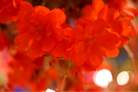 {5ADD872B-E088-4F1F-B399-FCFD8B851E28}