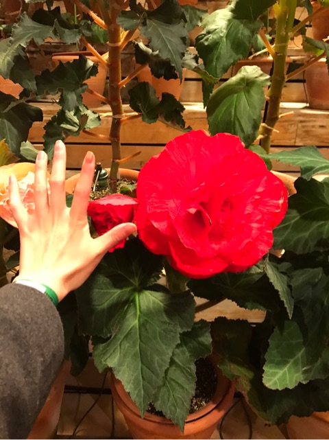 {D46AEF0B-E590-4B59-A757-0E5E01274986}