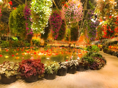 {F620AE3C-F07F-4139-991A-FECDC7B02CB8}