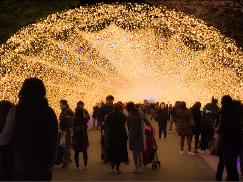 {72446732-431A-4567-872B-FBC4DB6032CD}